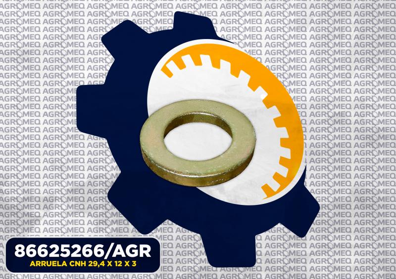 ARRUELA CNH 29,4 X 12 X 3 86625266/AGR