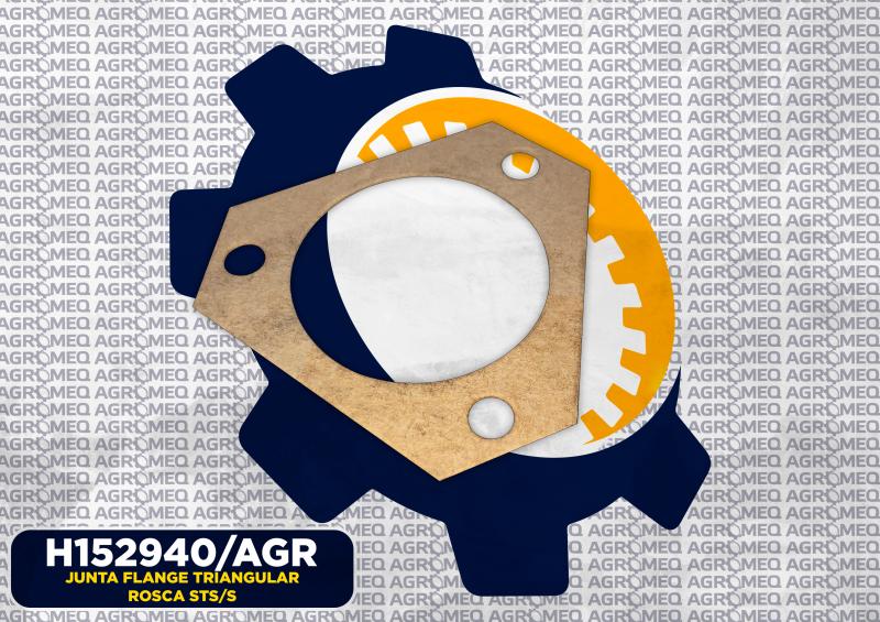 JUNTA FLANGE TRIANGULAR ROSCA STS/S H152940/AGR
